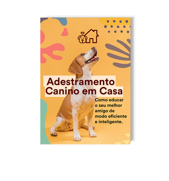 Adestramento Canino em Casa