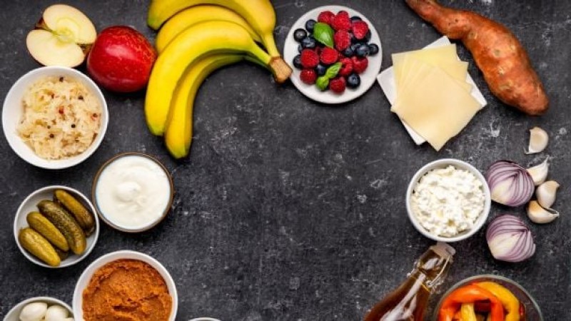 Manual de Receitas Evacuação Perfeita