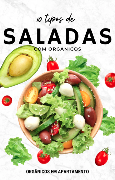 10 Tipos de Saladas com Orgânicos