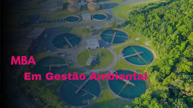 MBA EM GESTÃO AMBIENTAL