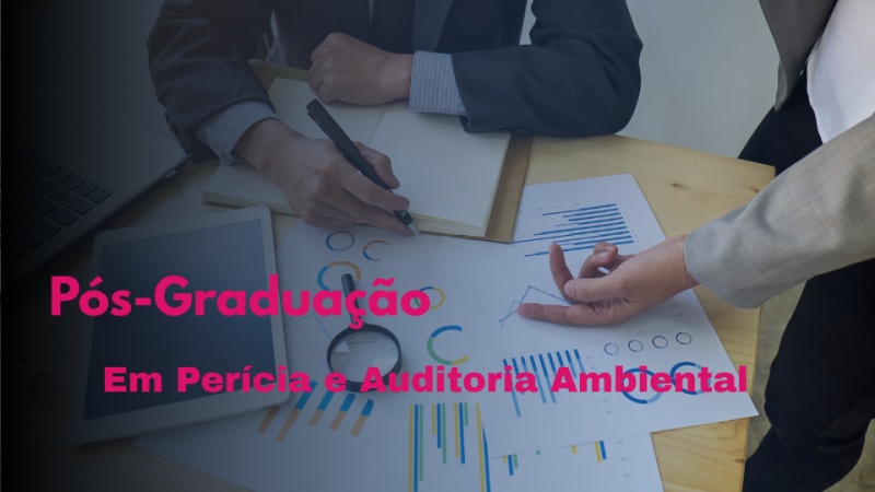 PERÍCIA E AUDITORIA AMBIENTAL