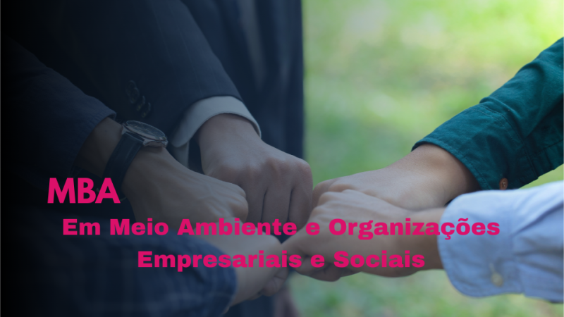 MBA EM MEIO AMBIENTE E ORGANIZAÇÕES EMPRESARIAIS E SOCIAIS