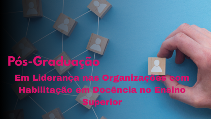 LIDERANÇA NAS ORGANIZAÇÕES COM HABILITAÇÃO EM DOCÊNCIA NO ENSINO SUPERIOR