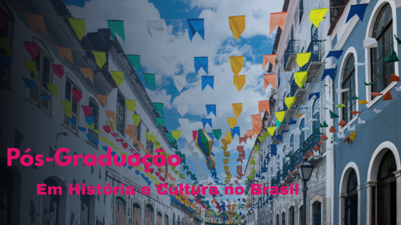 HISTÓRIA E CULTURA NO BRASIL