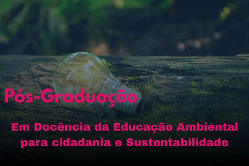 DOCÊNCIA DA EDUCAÇÃO AMBIENTAL PARA A CIDADANIA E SUSTENTABILIDADE