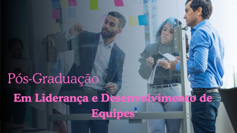 LIDERANÇA E DESENVOLVIMENTO DE EQUIPES